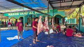 Sembelih 4 sapi dan 3 kambing, warga kepil rayakan idul adha 1447 H