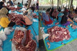 Kurban Jadi Momentum Takwa dan Gotong Royonag, Warga Padukuhan Nogosari III Sembelih 5 Sapi dan 10 K